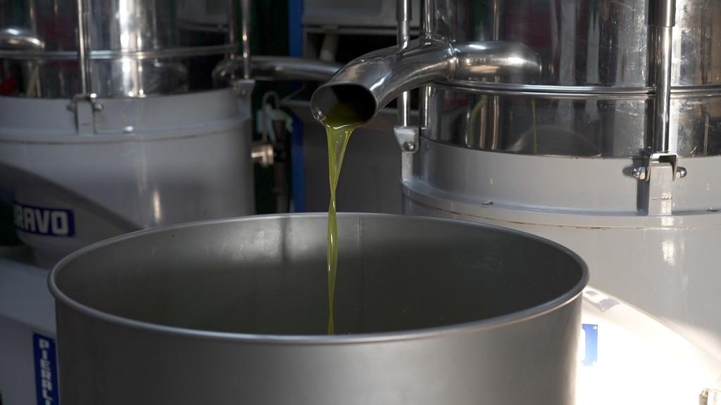 Confezione 3 Litri - in Bottiglie 50 cl - Raccolta 2025