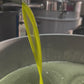 Confezione 3 Litri - in Bottiglie 50 cl - Raccolta 2024